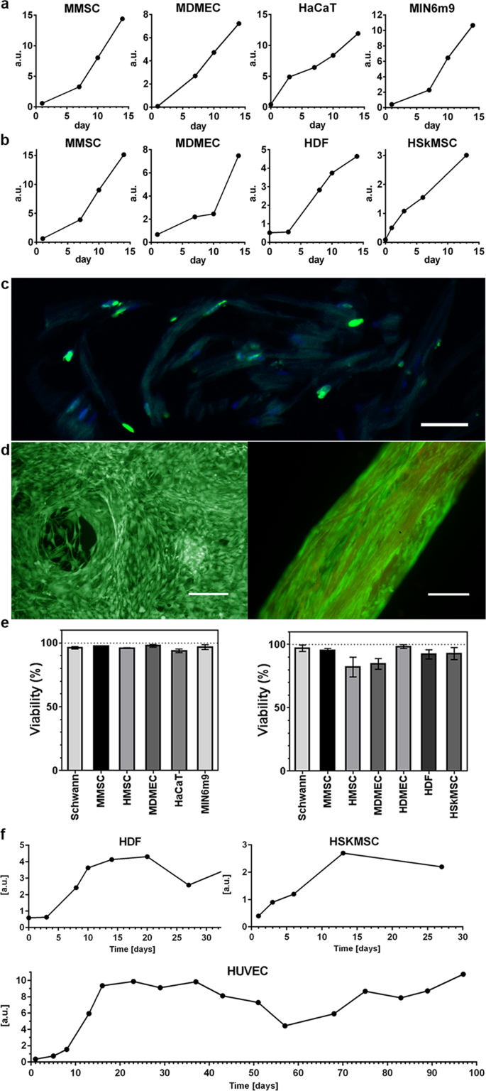 Assembly Of Functionalized Silk Together With Cells To Obtain Proliferative 3d Cultures Integrated In A Network Of Ecm Like Microfibers Scientific Reports Assembly Of Functionalized Silk Together With Cells To Obtain Proliferative 3d Cultures Integrated In A Network Of Ecm Like Microfibers Scientific Reports