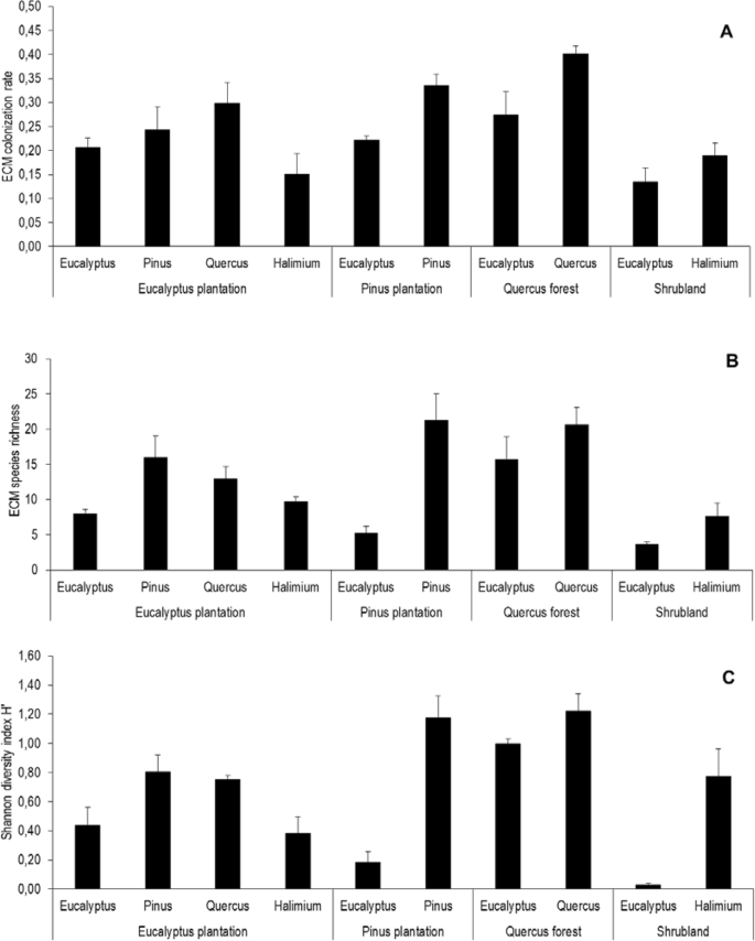 Context Dependency Co Introductions Novel Mutualisms And Host Shifts Shaped The Ectomycorrhizal Fungal Communities Of The Alien Tree Eucalyptus Globulus Scientific Reports