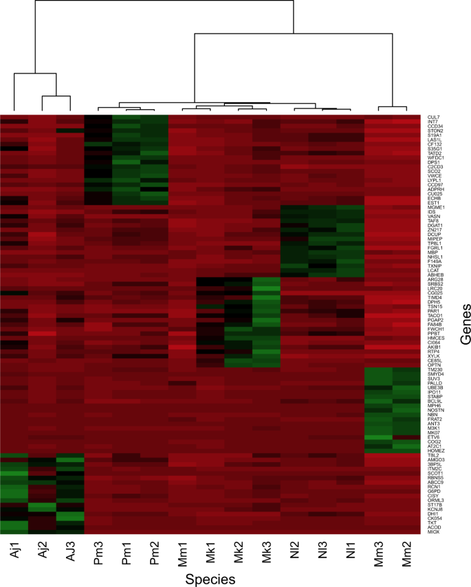 De Novo Transcriptome Assembly and Functional Annotation in Five Species of  Bats