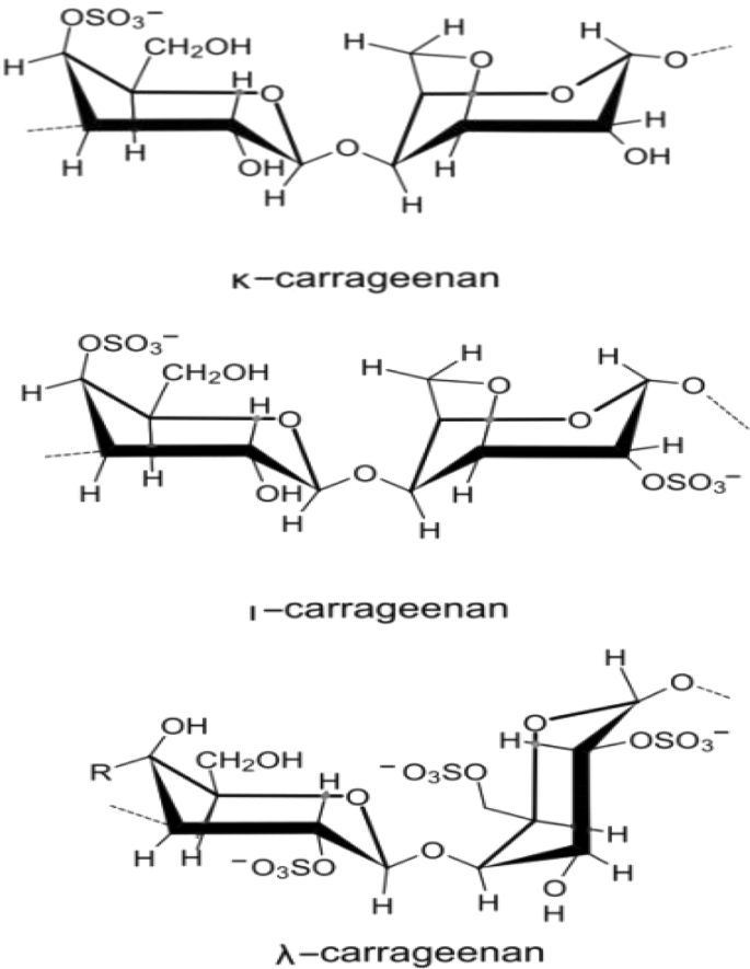 Novel DNA Biosensor for Direct Determination of Carrageenan 