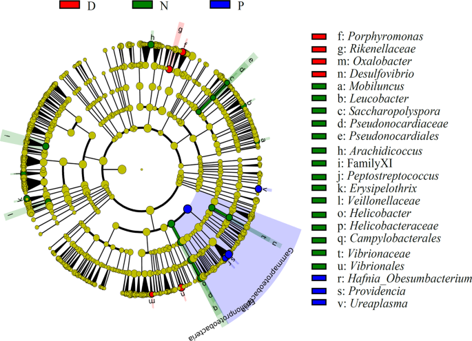 Comparative analysis of intestinal bacteria among venom secretion and  non-secrection snakes