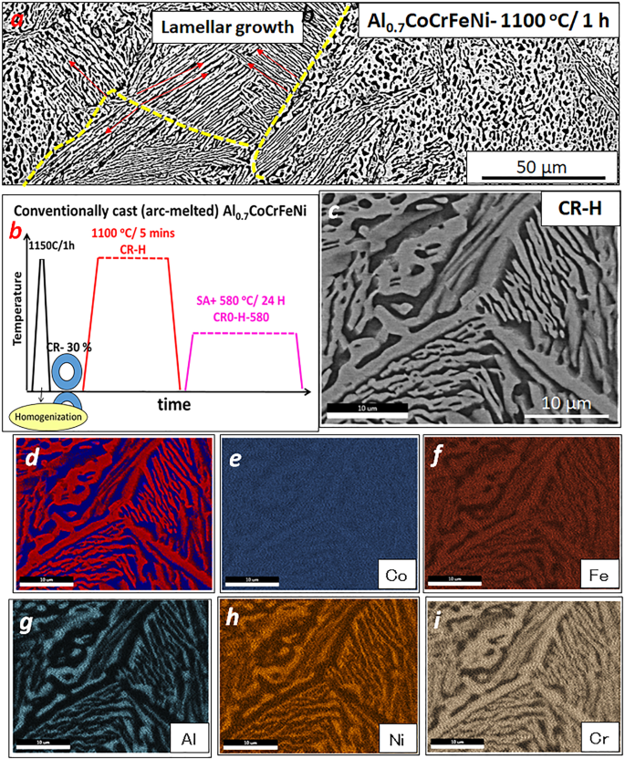 Influence Of Ordered L1 2 Precipitation On Strain Rate Dependent Mechanical Behavior In A Eutectic High Entropy Alloy Scientific Reports