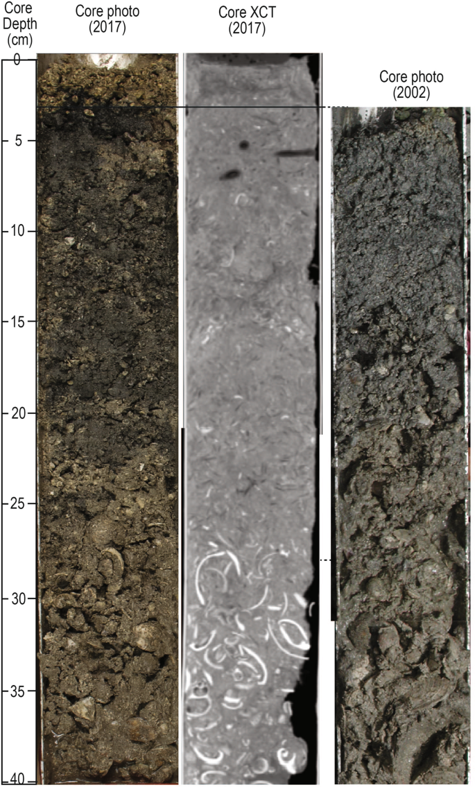 Widespread Deposition in a Coastal Bay Following Three Major 2017 