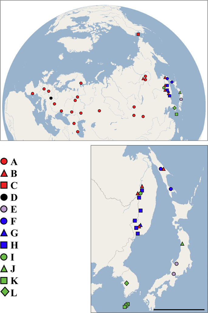 Contrasting Endemism In Pond Dwelling Cyclic Parthenogens The Daphnia Curvirostris Species Group Crustacea Cladocera Scientific Reports