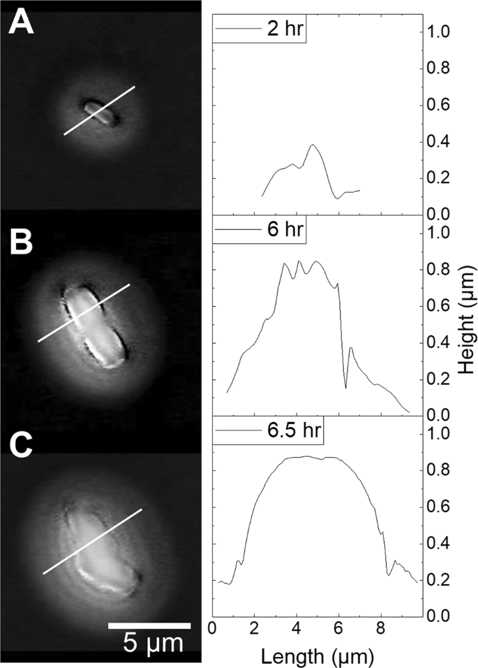 figure 9