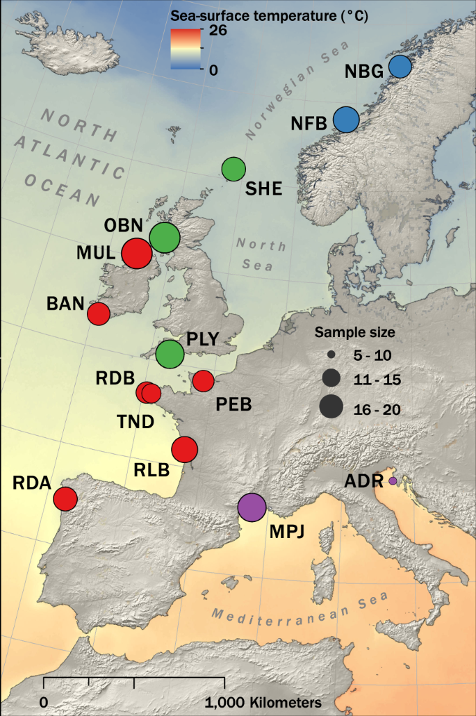 Map of the Mediterranean Sea indicating the sampled localities, coded