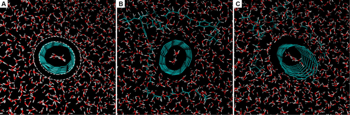 figure 11