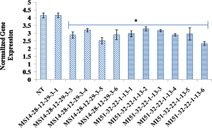 Seed Targeted Rnai Mediated Silencing Of Gmmips1 Limits Phytate Accumulation And Improves Mineral Bioavailability In Soybean Scientific Reports