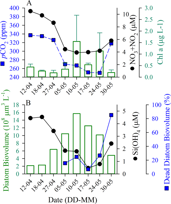 Silicic Acid Limitation Drives Bloom Termination And Potential Carbon Sequestration In An Arctic Bloom Scientific Reports