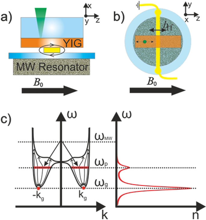 Excitation Of Coherent Second Sound Waves In A Dense Magnon Gas Scientific Reports