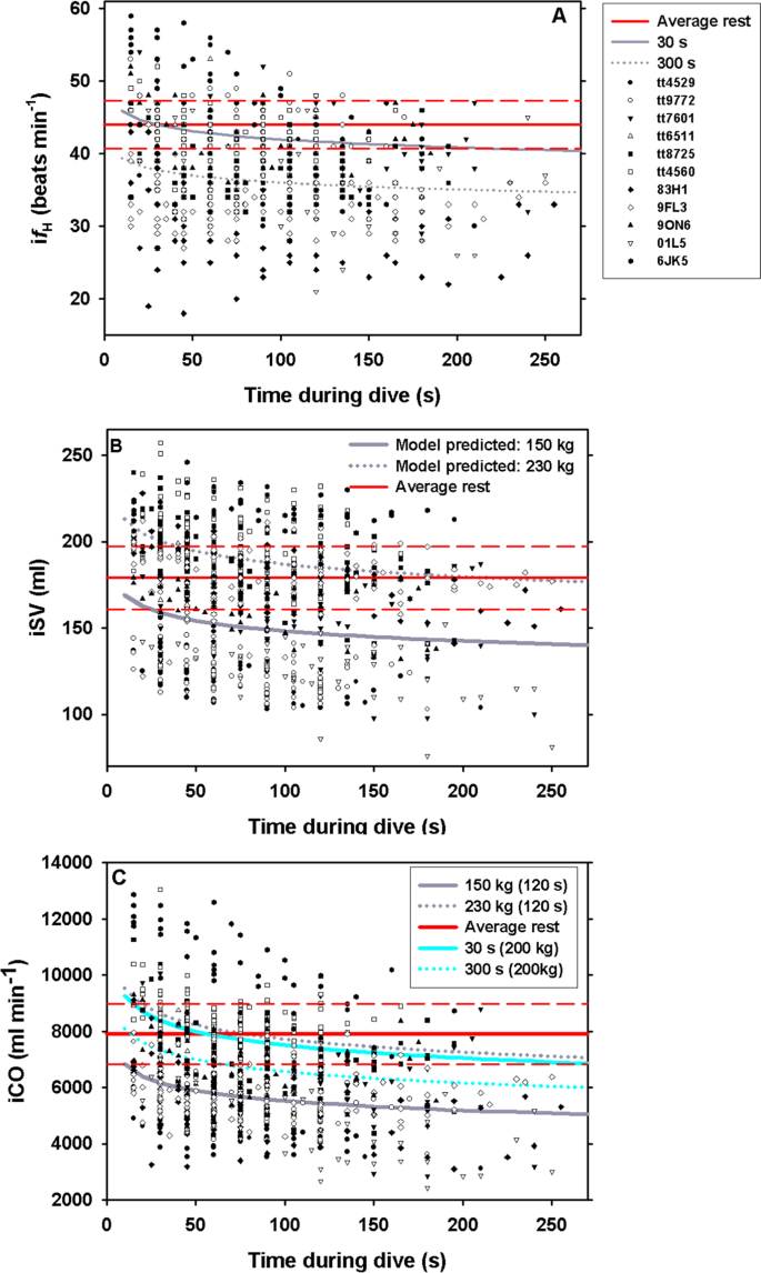 Re Evaluating The Significance Of The Dive Response During Voluntary Surface Apneas In The Bottlenose Dolphin Tursiops Truncatus Scientific Reports
