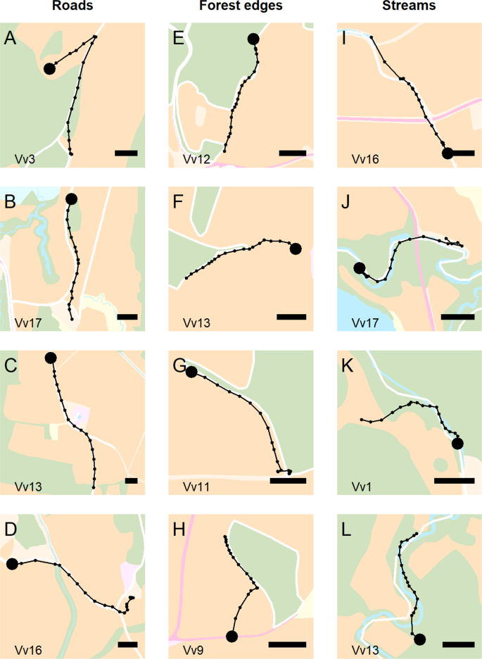 High Frequency Gps Bursts And Path Level Analysis Reveal Linear Feature Tracking By Red Foxes Scientific Reports