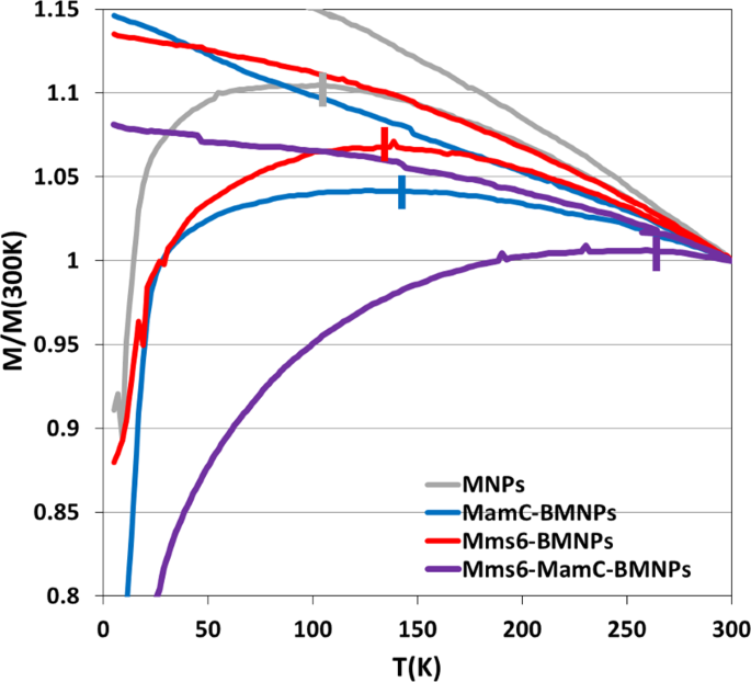 Tuning Properties Of Biomimetic Magnetic Nanoparticles By Combining Magnetosome Associated Proteins Scientific Reports