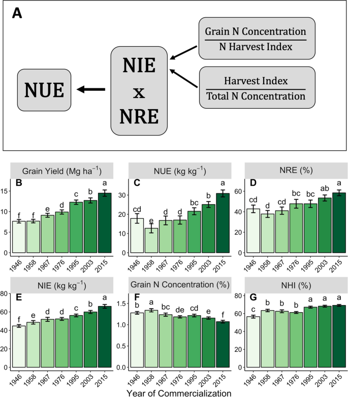 Simultaneous Gains In Grain Yield And Nitrogen Efficiency Over 70 Years Of Maize Genetic Improvement Scientific Reports