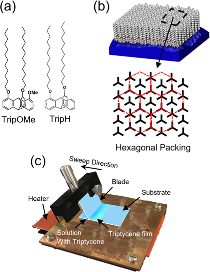 Highly-ordered Triptycene Modifier Layer Based on Blade Coating for  Ultraflexible Organic Transistors | Scientific Reports