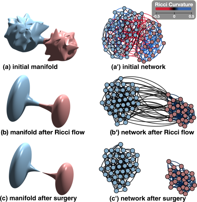 Community Detection On Networks With Ricci Flow Scientific Reports