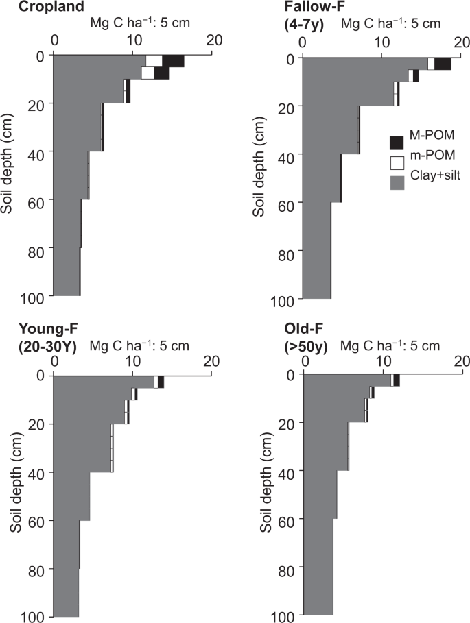 tidligere Morgen forretning Forest understories controlled the soil organic carbon stock during the  fallow period in African tropical forest: a 13C analysis | Scientific  Reports