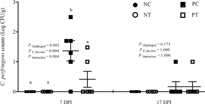 Pretreatment With Probiotic Enterococcus Faecium Ncimb Ameliorates Necrotic Enteritis Induced Intestinal Barrier Injury In Broiler Chickens Scientific Reports