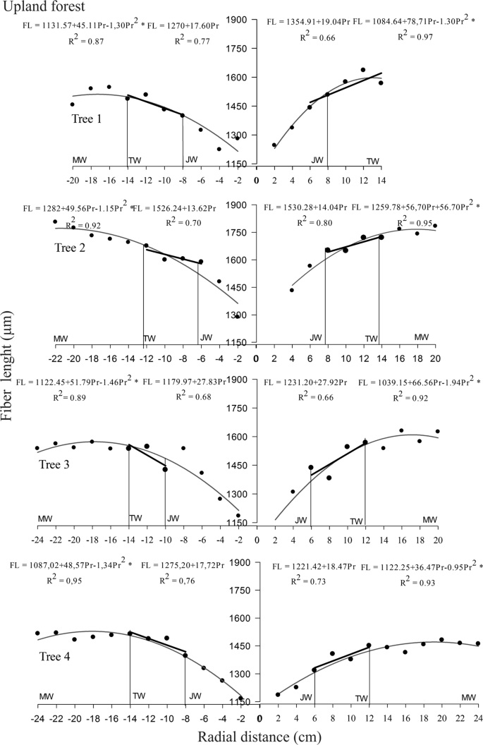 Wood properties of Carapa guianensis from floodplain and upland forests in  Eastern Amazonia, Brazil | Scientific Reports