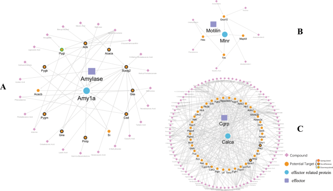 Effectiveness of management strategies for uninvestigated dyspepsia:  systematic review and network meta-analysis