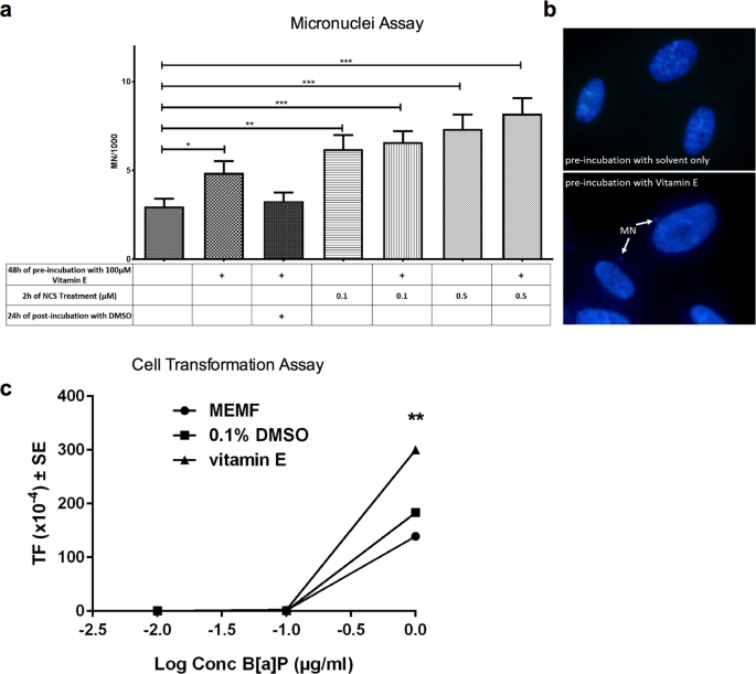 Co-carcinogenic effects of vitamin E in prostate | Scientific Reports