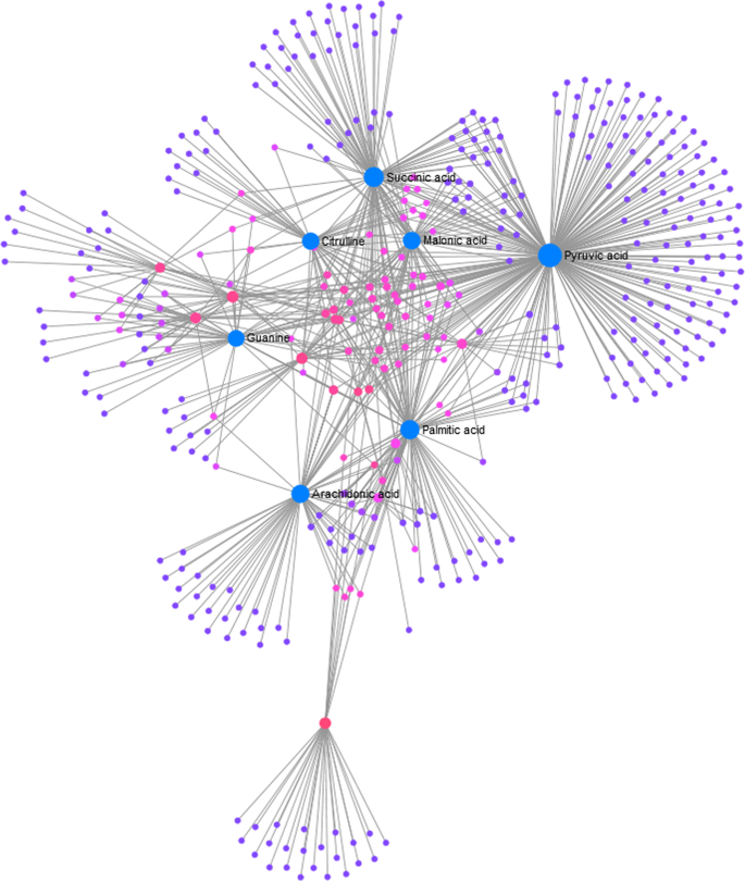 R node. Node. gene network. network nodes png.