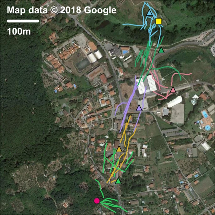 Georeferenced tracks