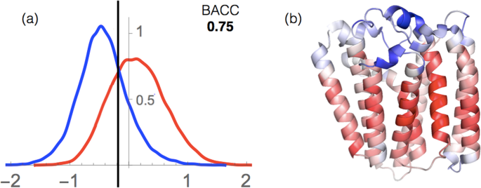 hydrophobic amino acids in membran hydrophobic amino acids in membran