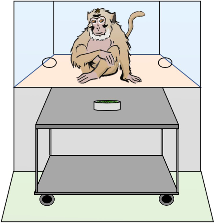 Long-tailed macaques extract statistical information from repeated types of  events to make rational decisions under uncertainty | Scientific Reports