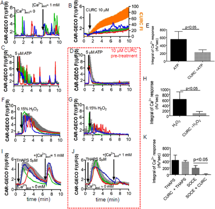 Albumin Evokes Ca 2 Induced Cell Oxidative Stress And Apoptosis Through Trpm2 Channel In Renal Collecting Duct Cells Reduced By Curcumin Scientific Reports