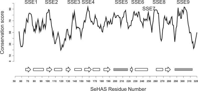  figure2