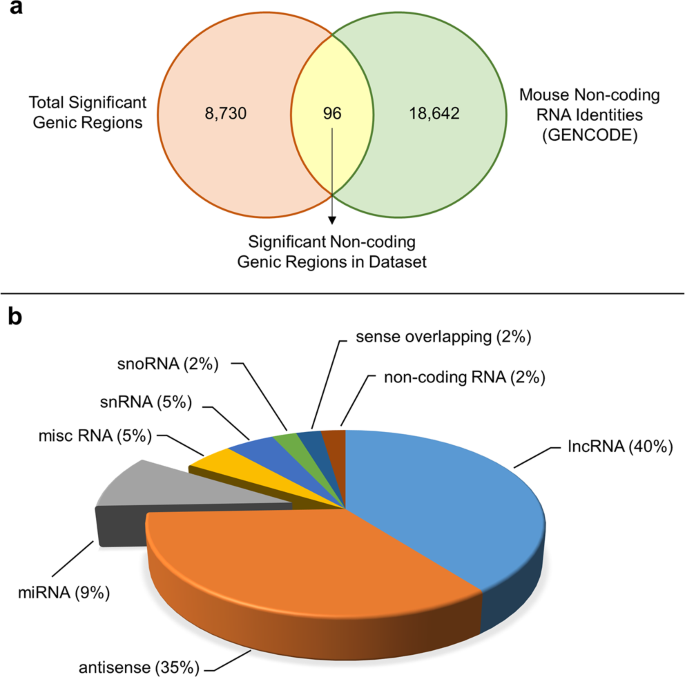 Nucleoporin insufficiency disrupts a pluripotent regulatory circuit in a  pro-arrhythmogenic stem cell line | Scientific Reports