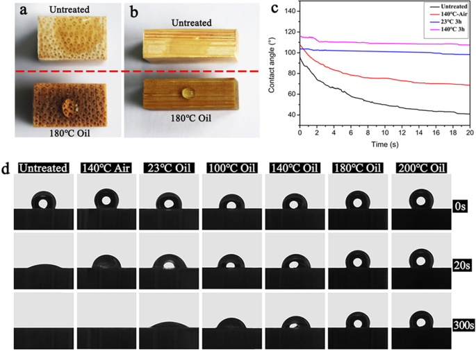 Synergistic effects of tung oil and heat treatment on physicochemical  properties of bamboo materials | Scientific Reports