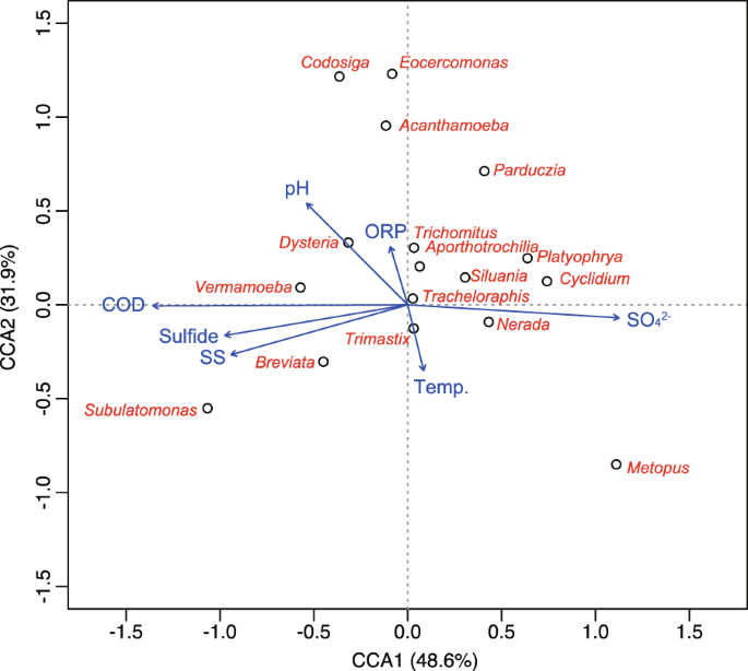 Full article: Prokaryotic Community Characterization in a Mesothermic and  Water- Flooded Oil Reservoir in Colombia