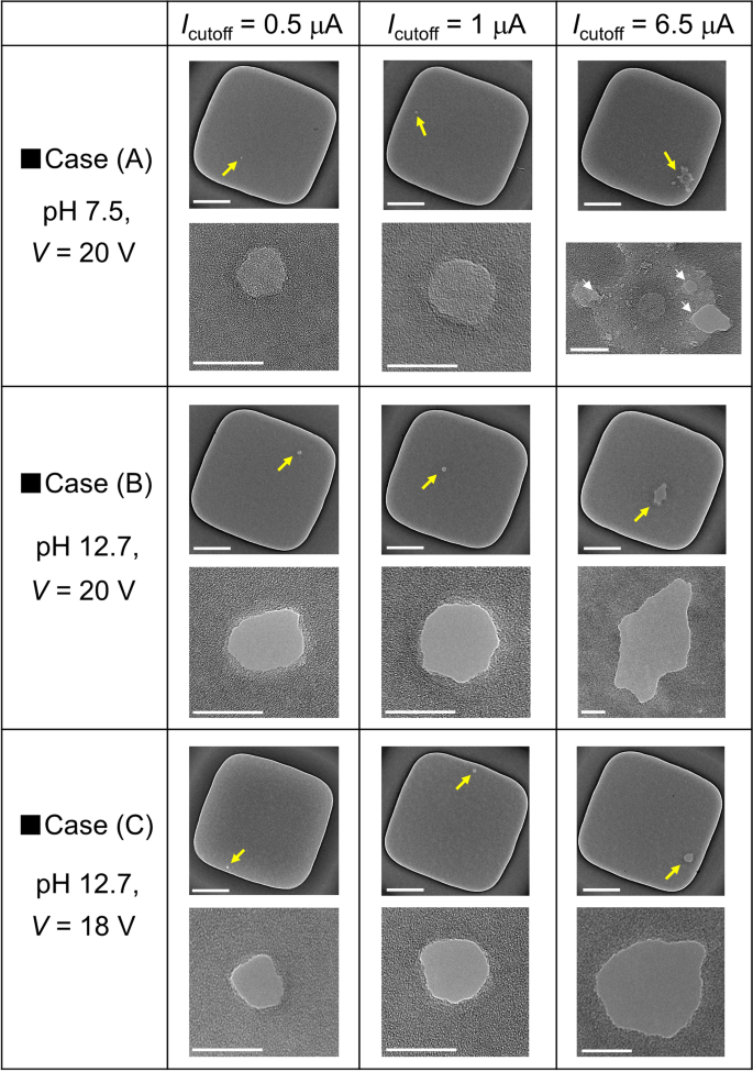 Stable Fabrication Of A Large Nanopore By Controlled Dielectric Breakdown In A High Ph Solution For The Detection Of Various Sized Molecules Scientific Reports