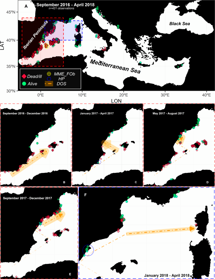 Tracking A Mass Mortality Outbreak Of Pen Shell Pinna Nobilis Populations A Collaborative Effort Of Scientists And Citizens Scientific Reports