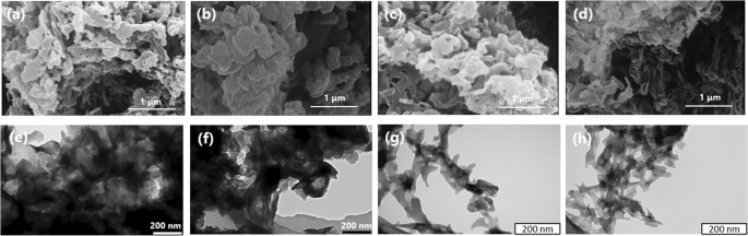 Dual Defect Modified Graphitic Carbon Nitride With Boosted Photocatalytic Activity Under Visible Light Scientific Reports