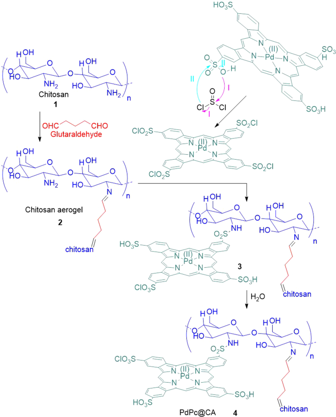 Cross-linked chitosan aerogel modified with Pd(II)/phthalocyanine:  Synthesis, characterization, and catalytic application | Scientific Reports