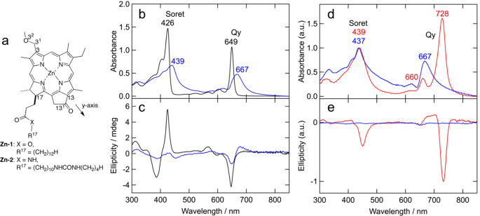 Bioinspired Supramolecular Nanosheets Of Zinc Chlorophyll Assemblies Scientific Reports