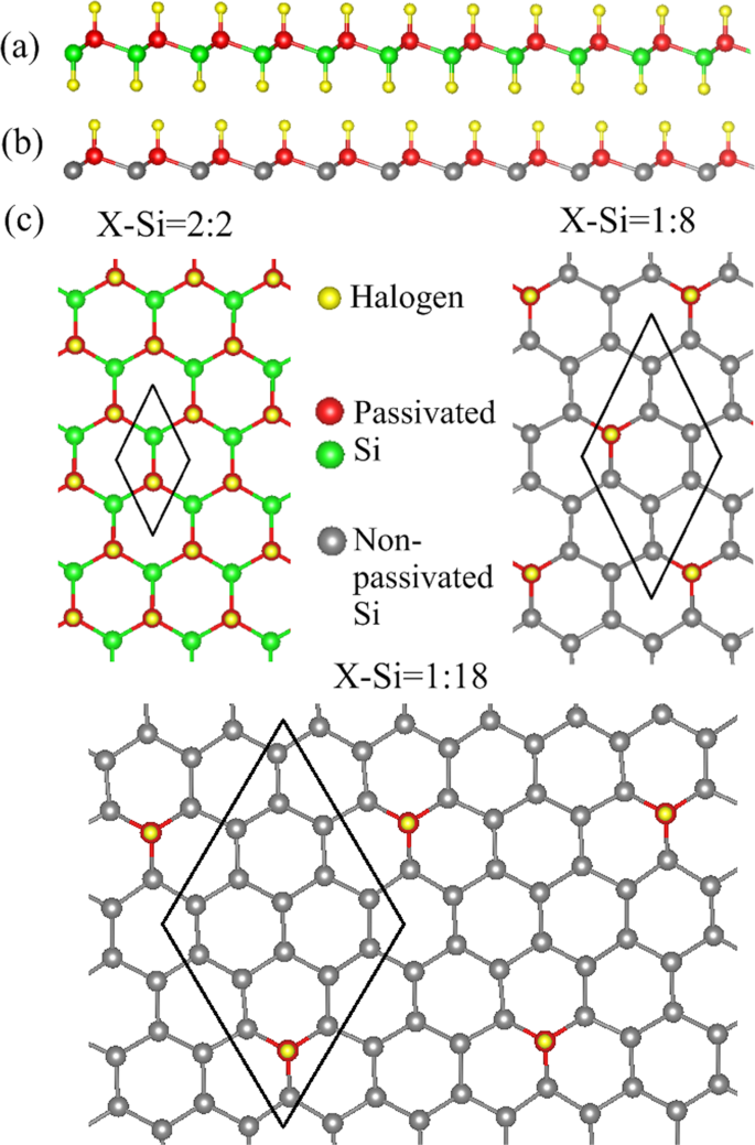 Concentration Diversified Magnetic And Electronic Properties Of Halogen Adsorbed Silicene Scientific Reports