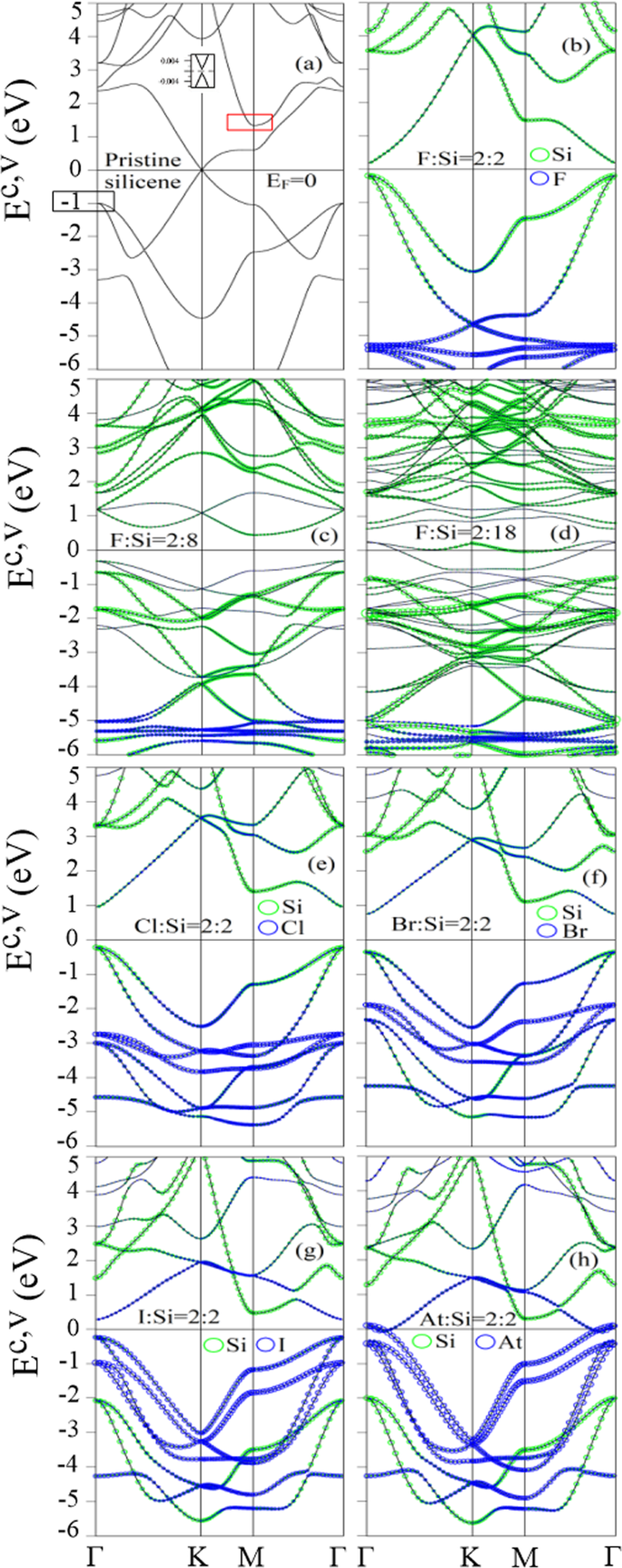 Concentration Diversified Magnetic And Electronic Properties Of Halogen Adsorbed Silicene Scientific Reports