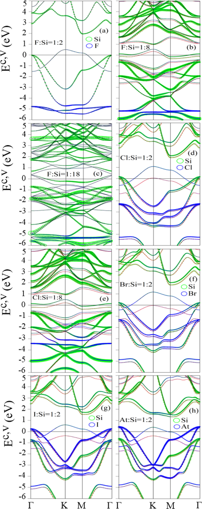 Concentration Diversified Magnetic And Electronic Properties Of Halogen Adsorbed Silicene Scientific Reports