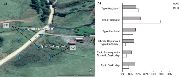 Digital Soil Mapping Including Additional Point Sampling In Posses Ecosystem Services Pilot Watershed Southeastern Brazil Scientific Reports