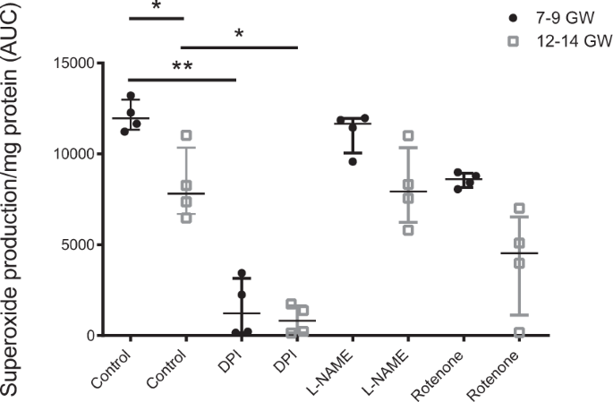 NADPH oxidase is the major source of placental superoxide in early pregnancy: association with MAPK pathway activation | Scientific Reports NADPH oxidase is the major source of placental superoxide in early pregnancy: association with MAPK pathway activation | Scientific Reports