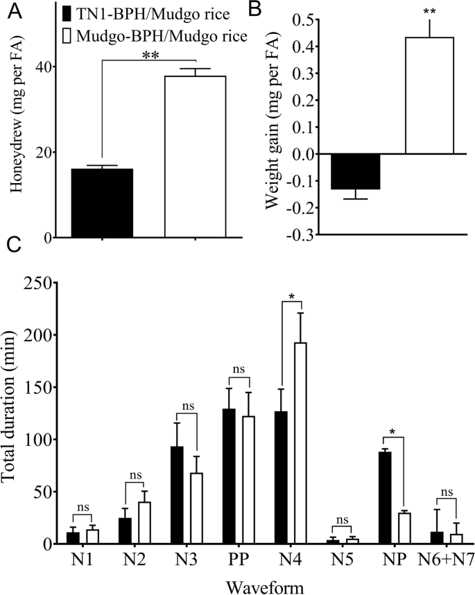 Phenotypic And Transcriptomic Responses Of Two Nilaparvata Lugens Populations To The Mudgo Rice Containing Bph1 Scientific Reports