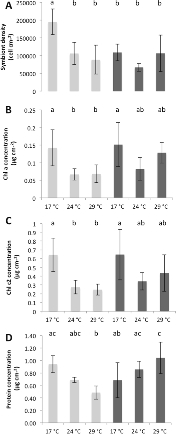 Response Of The Temperate Scleractinian Coral Cladocora Caespitosa To High Temperature And Long Term Nutrient Enrichment Scientific Reports