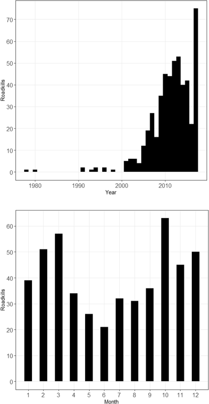 Roadkill and space use data predict vehicle-strike hotspots and mortality rates in a recovering bobcat (Lynx rufus) population | Scientific Reports Roadkill and space use data predict vehicle-strike hotspots and mortality rates in a recovering bobcat (Lynx rufus) population | Scientific Reports