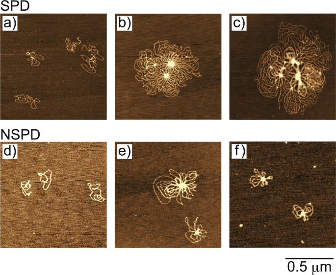 figure2