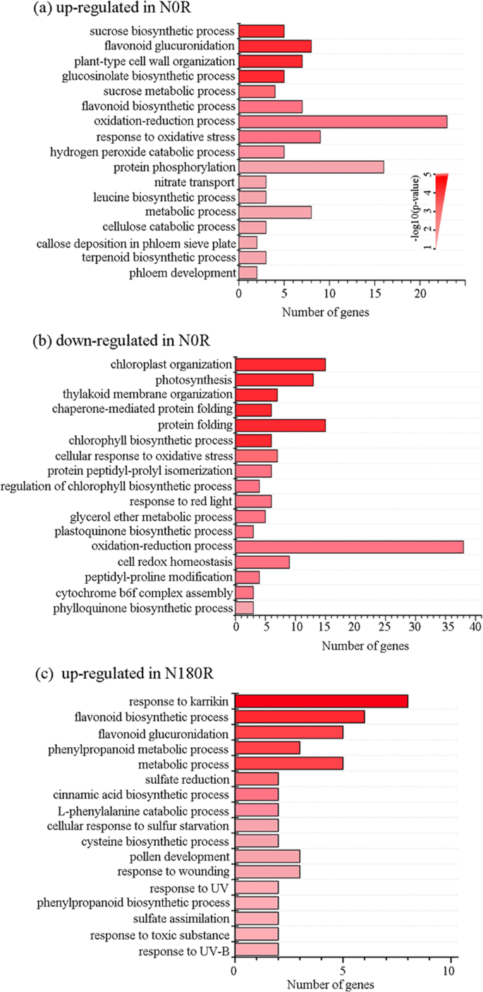 Static Magnetic Field Regulates Arabidopsis Root Growth Via Auxin Signaling Scientific Reports Static Magnetic Field Regulates Arabidopsis Root Growth Via Auxin Signaling Scientific Reports