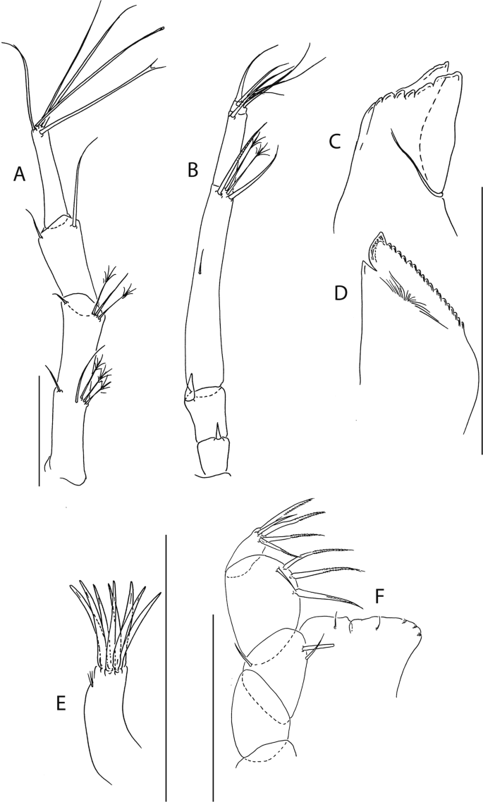 figure 24